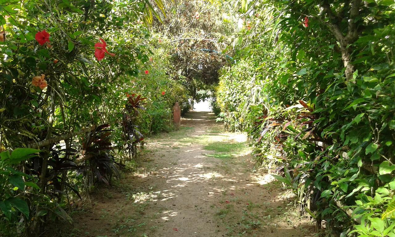 Big Banana Island Retreat Hotel North Paravur Екстериор снимка