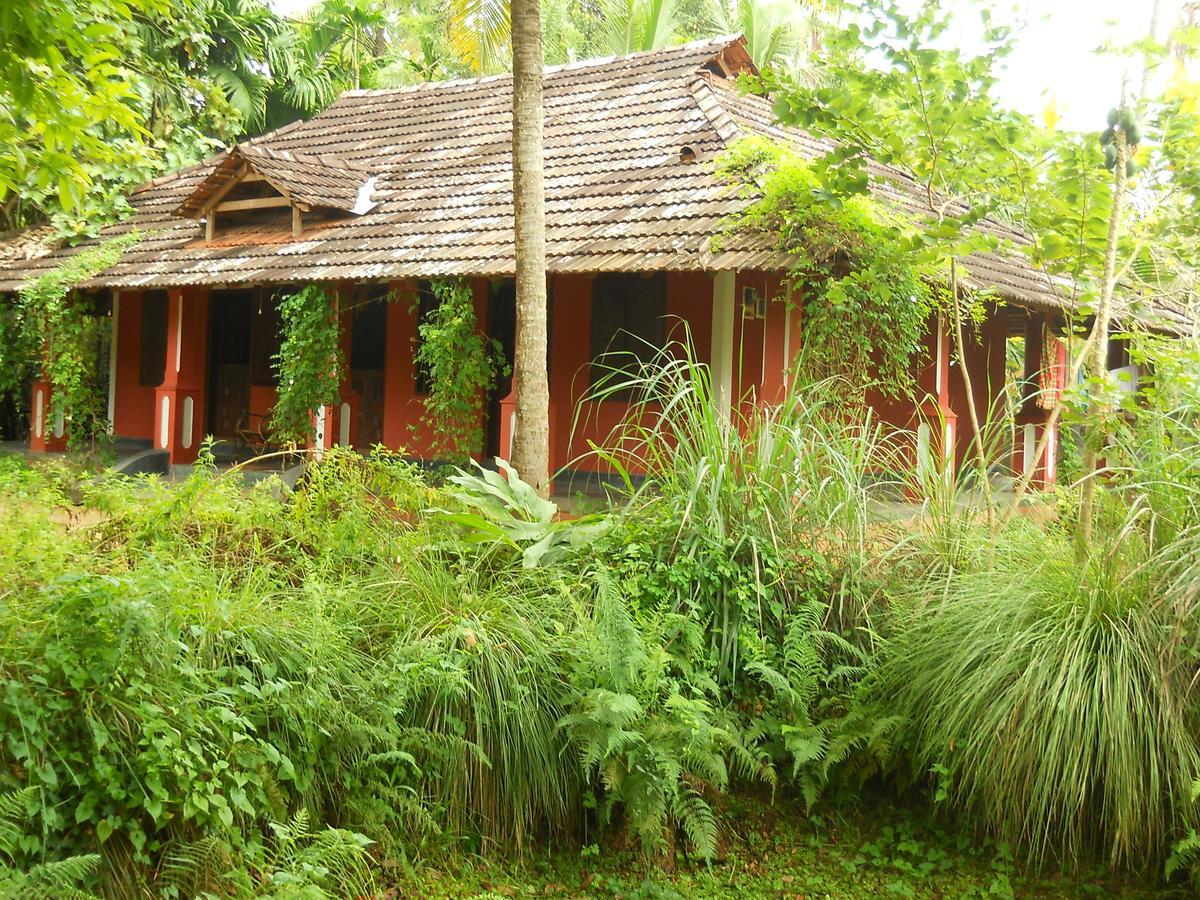 Big Banana Island Retreat Hotel North Paravur Екстериор снимка
